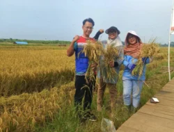 PGN Aktif Dalam Pemberdayaan Ekonomi Masyarakat dan Pelestarian Lingkungan