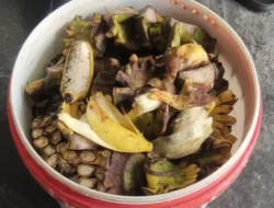 Kreatif! Limbah MBG Disulap Jadi Inovasi Ekonomi Hijau