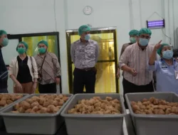 Indonesia Balikkan Peta: Jepang Studi Banding Program MBG Capai 60 Juta Anak