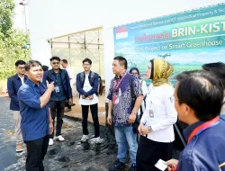 Teknologi Smart Greenhouse BRIN Dorong Ketahanan Pangan Untuk Sukseskan Program MBG